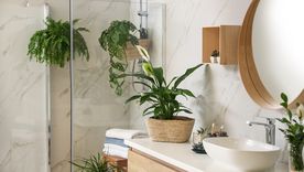 Las plantas pueden cambiar por completo la apariencia de tu baño. Las plantas pueden cambiar por completo la apariencia de tu baño.