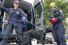 La unidad del Cuerpo de Bomberos de Miami-Dade cuenta con 9 equipos de búsqueda canina. Foto: EPA