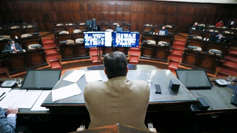 Mario Abed estuvo al frente de la sesión de Senadores. Foto: Prensa Senado