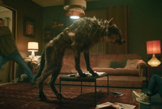 Si te gustan las historias de licántropos, es una opción.