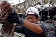 El Bathynomus raksasa se encuentra entre las ocho especies conocidas de isópodos supergigantes. Foto: BBC