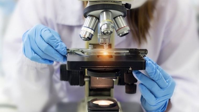 Dos reconocidos científicos argentinos recibirán uno de los máximos galardones.