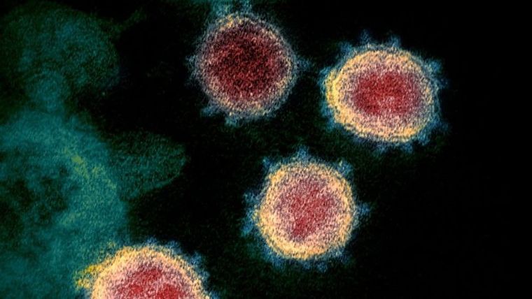 La nueva variante del coronavirus encontrada en Sudáfrica está vinculada a un aumento del número de infecciones. Foto: GETTY IMAGES