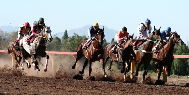 Usando la metáfora del galope de un caballo, el proverbio de hoy nos invita a distinguir entre nuestras propias emociones y las influencias externas. Foto: NACHO GAFFURI Usando la metáfora del galope de un caballo, el proverbio de hoy nos invita a distinguir entre nuestras propias emociones y las influencias externas. Foto: NACHO GAFFURI