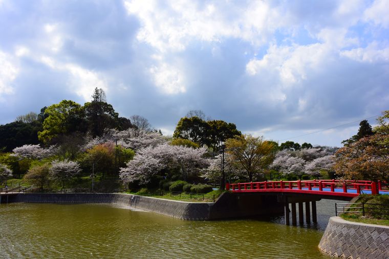 El triatlón anual y la vida rural hacen de este pueblo un ejemplo de equilibrio entre naturaleza y comunidad. El triatlón anual y la vida rural hacen de este pueblo un ejemplo de equilibrio entre naturaleza y comunidad.