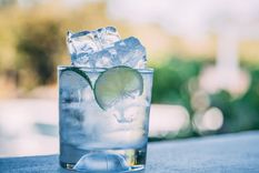 Hacer gin en casa es más simple de lo que puedes imaginar. Foto: Drink Nation - https://www.drinknation.com/images/drinks/gin-and-tonic.1920l.jpg