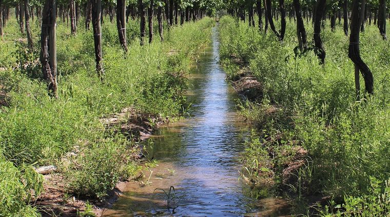 Los robos a productores generan pérdidas millonarias Foto: acovi.com.ar