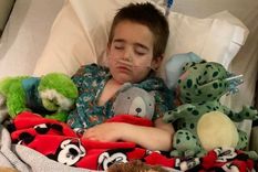 Lincoln tuvo una fiebre alta y no dejaba de toser.