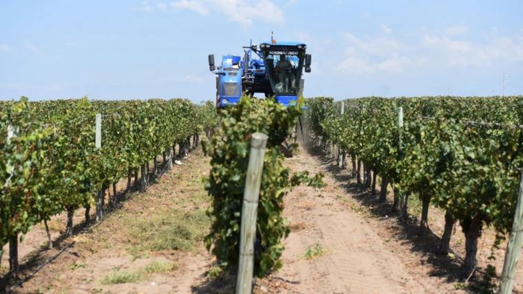 Los trabajadores agroindustriales podrían llenar hasta 490 Luna Park, mientras que los ganaderos 590 Torres Eiffel. Foto: MDZ