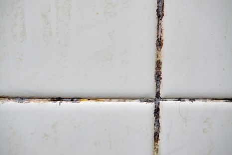 La humedad es el principal aliado del moho en casa. Foto: Shutterstock La humedad es el principal aliado del moho en casa. Foto: Shutterstock