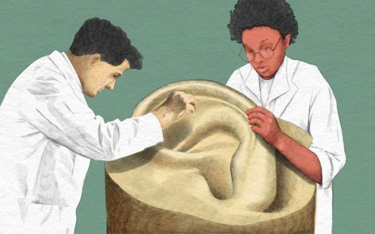 Qué puede revelar el cerumen sobre tu salud. Foto: BBC.