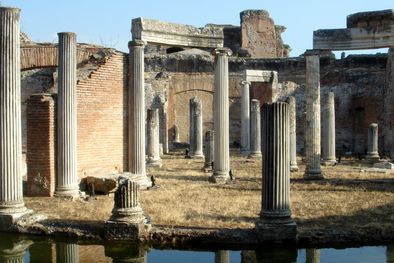 MDZol | Foto: esacademic.com