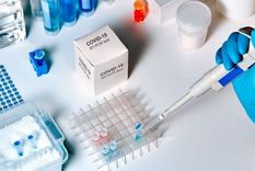 Los científicos descartaron totalmente que el SARS-CoV-2, el virus que causa el covid-19, hubiera sido creado en un laboratorio.