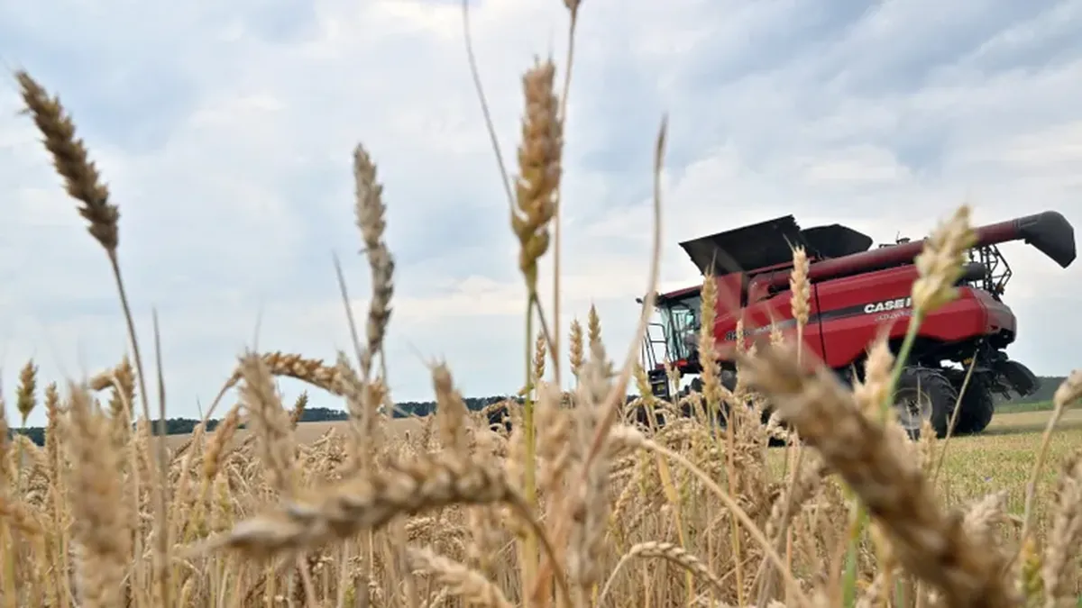 Arranque sólido del agro en 2026: más exportaciones y mayor ingreso de divisas