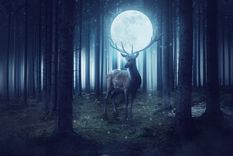 En julio podrá apreciarse la Superluna de Ciervo Foto: shutterstock
