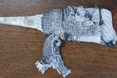 Chuza Foto: archivo / imagen ilustrativa