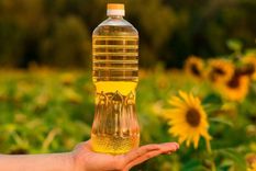 La decisión se debe a que los productos en cuestión no cumplen la normativa vigente y, por lo tanto, no se puede garantizar su trazabilidad, condiciones de elaboración y calidad