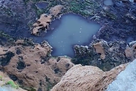 Barranca de los Lobos, Mar del Plata.