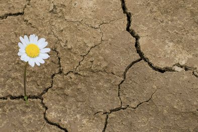 MDZol | Al cultivar las virtudes, no solo estamos construyendo un carácter sólido, sino también un carácter especial que se distingue por su autenticidad, compasión y ética Foto: Archivo MDZ