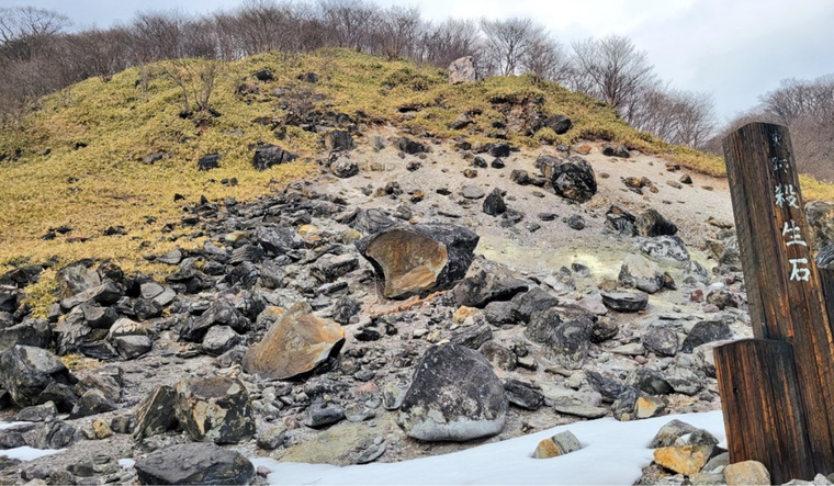 Crédito: Lily0727K Twitter