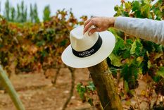 estas son las 10 empresas mas queridas de mendoza