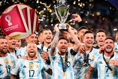 Un titular de la Selección fue marginado del álbum de Qatar 2022.