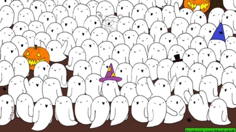 ACERTIJO VISUAL ACERTIJO VISUAL, RETO VISUAL, OSO Foto: FACEBOOK / THEDUDOLF