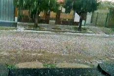 Foto: Twitter Foto: Twitter