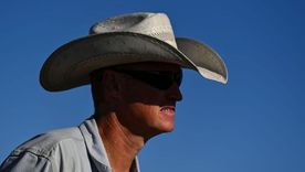 Trump busca importar más carne argentina para bajar los precios en el mercado estadounidense. Trump busca importar más carne argentina para bajar los precios en el mercado estadounidense.