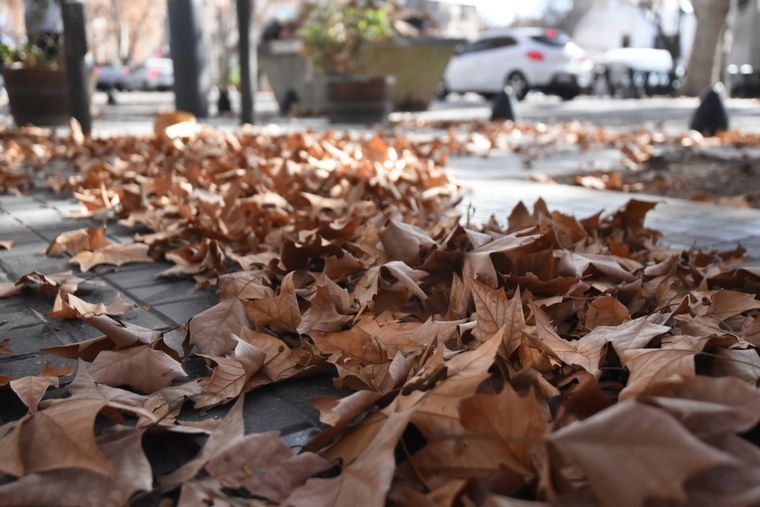 Foto: Rodrigo DAngelo / MDZ