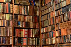 el placer de tener una biblioteca de libros no leidos