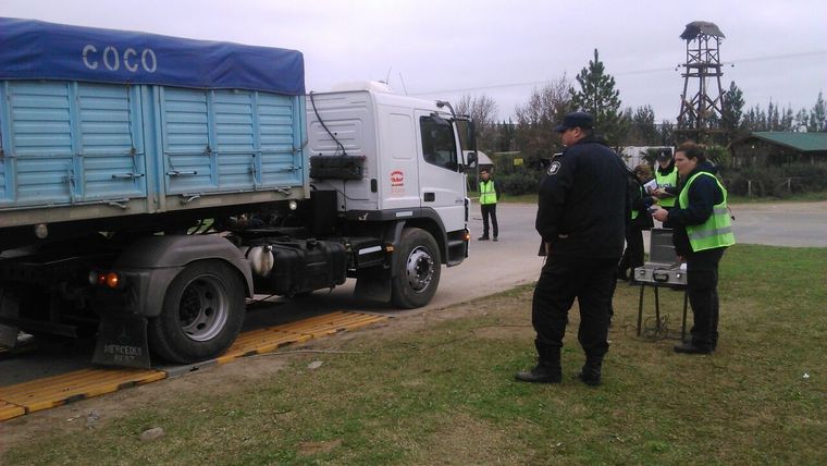 Los camioneros manejaban alcoholizados y fueron detenidos en Santa Rosa/Imagen Ilustrativa