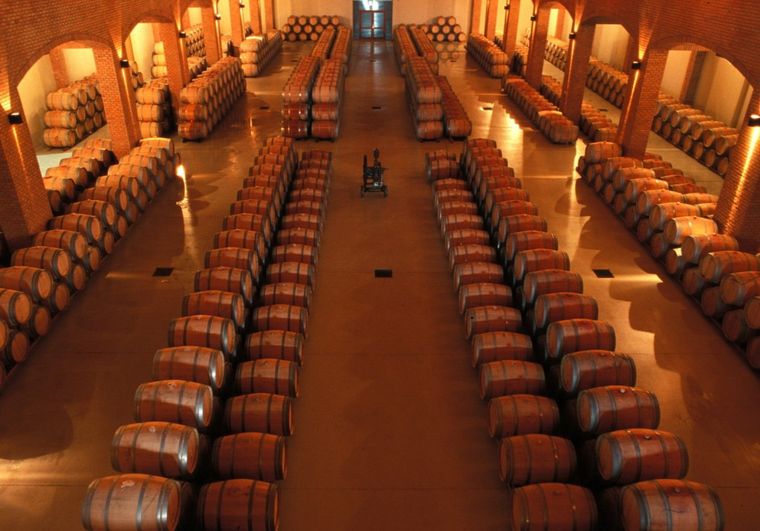 Las bodegas son objeto de sucesivos robos Foto: web