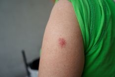 El barigüí suele aparecer cerca de ríos y arroyos durante los meses de calor.