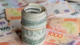 Los riesgos de la dolarización Foto: Shutterstock Los riesgos de la dolarización Foto: Shutterstock