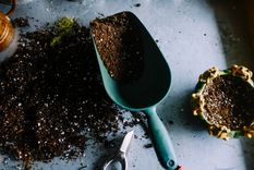 Compost Consejos para que sea perfecto Foto: Unsplash