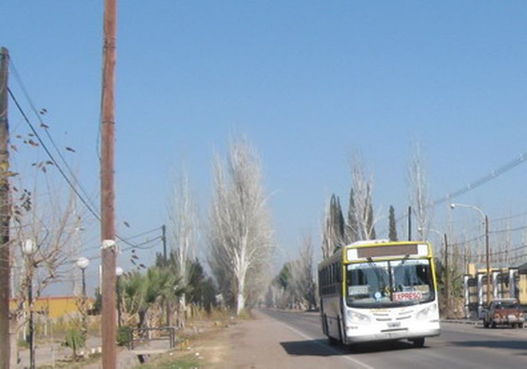 Micro de Dicetour en el Carril Barriales, a la altura del Barrio El Aguaribay en Palmira. Foto: Carlos Fernández / MDZ