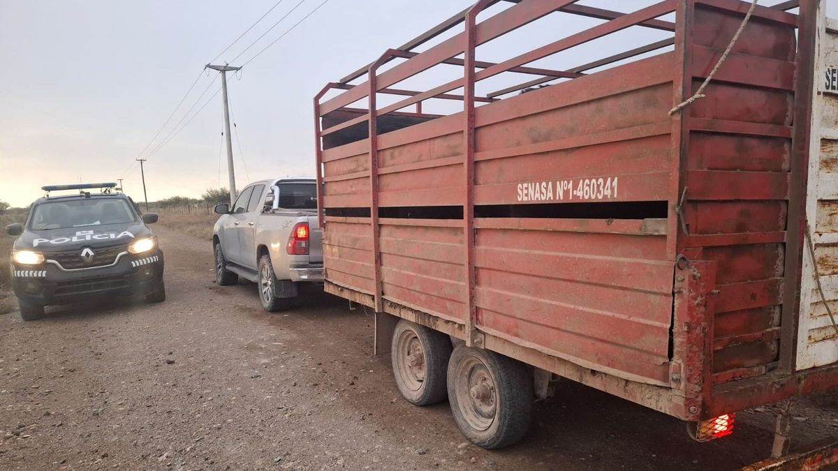 Secuestraron animales y un tráiler en operativos realizados en General Alvear y Maipú