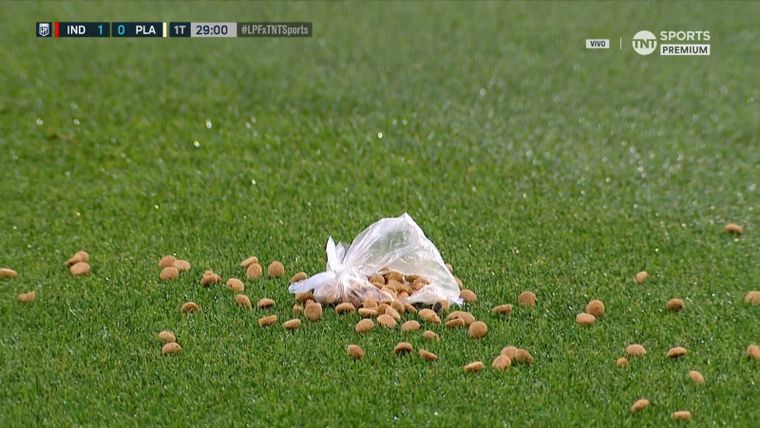 Una bolsa de comida para perros apareció en el campo djuego en plano Independiente-Platense.