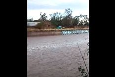 videos: los zanjones a un metro del colapso por el diluvio videos: los zanjones a un metro del colapso por el diluvio
