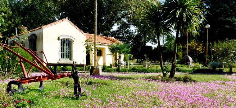 Se ubica a aproximadamente 180 km de la Ciudad de Buenos Aires Foto: Archivo