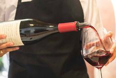 ¿como convertirse en un bebedor de vinos?