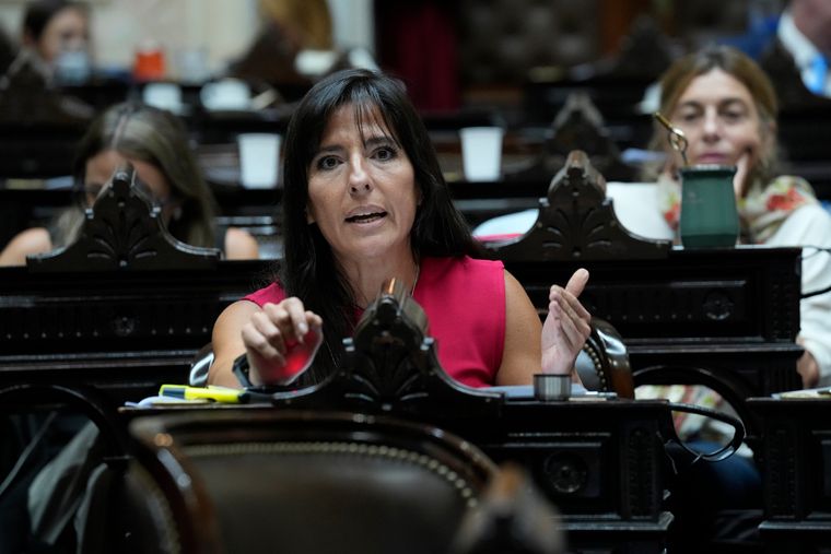 La diputada radical mendocina Pamela Verasay habló en el debate por la baja de la edad de imputabilidad y aprovechó para cuestionar al kirchnerismo.