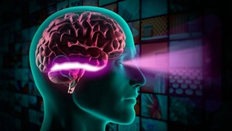 Nuestro cerebro, esa supercomputadora biológica, no solo procesa lo que experimentamos conscientemente, sino que también absorbe, capta y fija mensajes a nivel subconsciente. Foto: MDZ