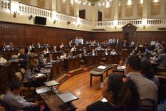 mendoza: una oportunidad perdida y un desafio