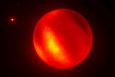 Impresión artística de la enana marrón más cercana a la Tierra. Foto: EFE