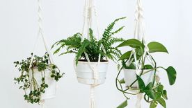 Recupera espacios. Recupera espacios.