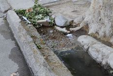 Foto: Alf Ponce / MDZ