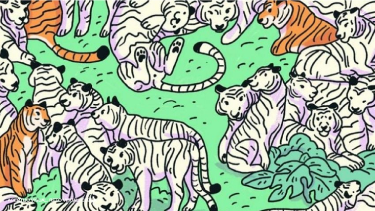 ACERTIJO VISUAL ACERTIJO VISUAL, RETO VISUAL, CEBRA Foto: ARCHIVO