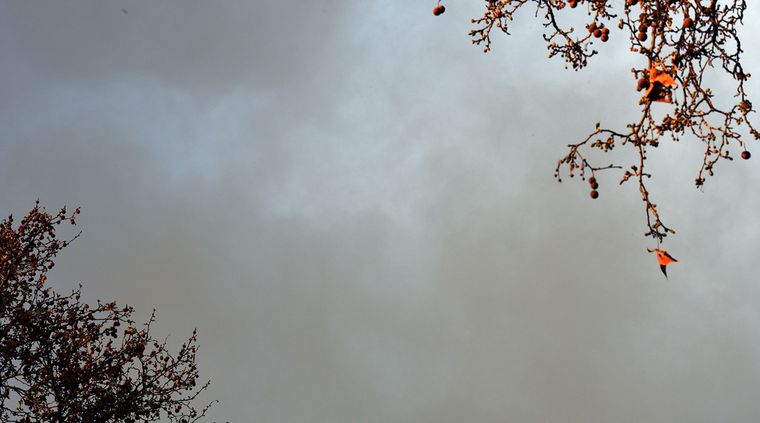 Foto: Alf Ponce / MDZ